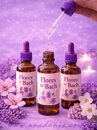 Flores de Bach